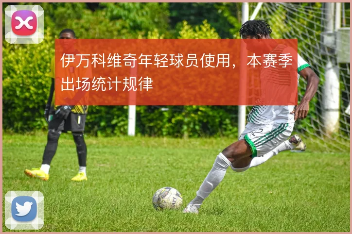 伊万科维奇年轻球员使用,本赛季出场统计规律