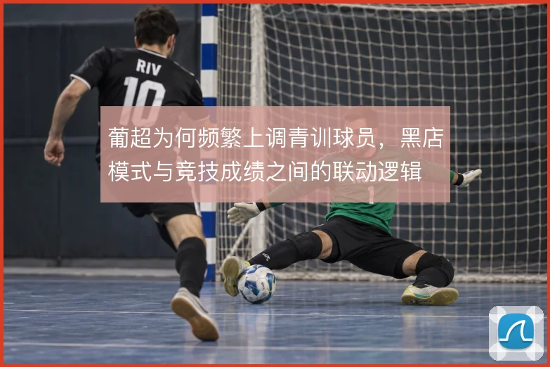 葡超为何频繁上调青训球员，黑店模式与竞技成绩之间的联动逻辑